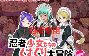 [RPG/官中/新作] 忍者少女たちのくすぐり大冒険 [PC+安卓][1.2G/度盘]